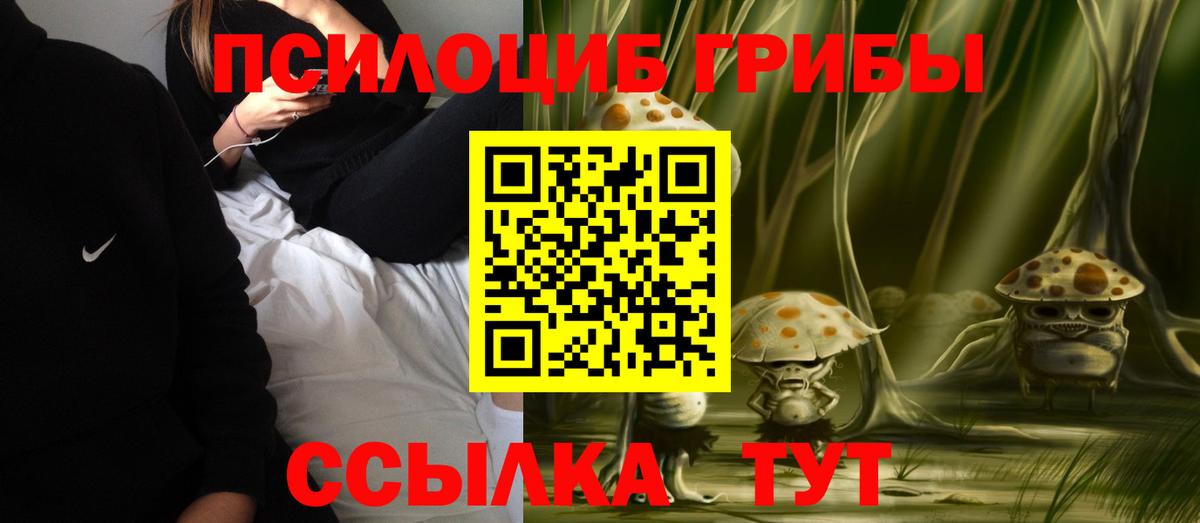 Гулькевичи  Псилоцибиновые грибы Psilocybine cubensis  Вход с VPN  Галлюциногенные грибы прущие грибы 