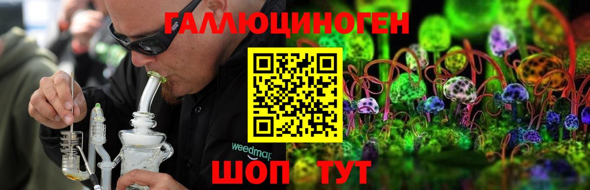 Галлюциногенные грибы MAGIC MUSHROOMS Гулькевичи